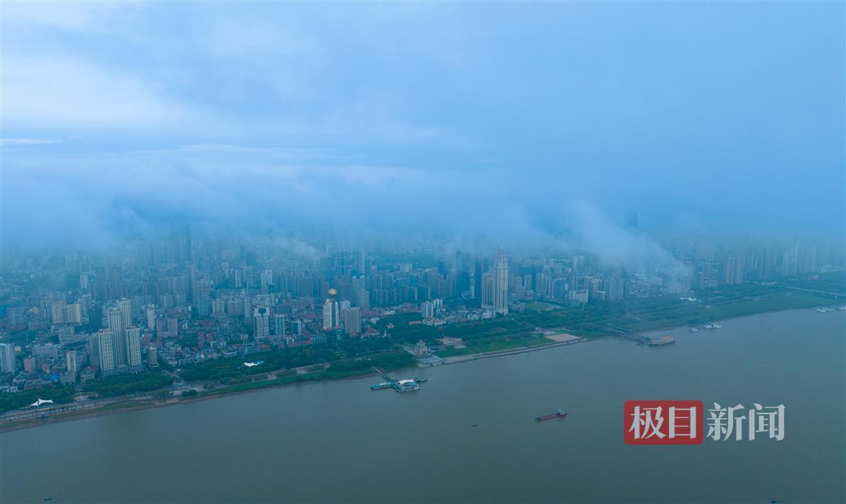 信发在线平台注册